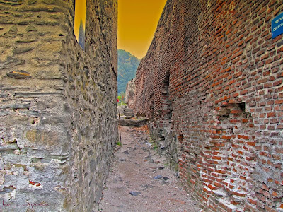 Cetatea Poenari Poenari Castle