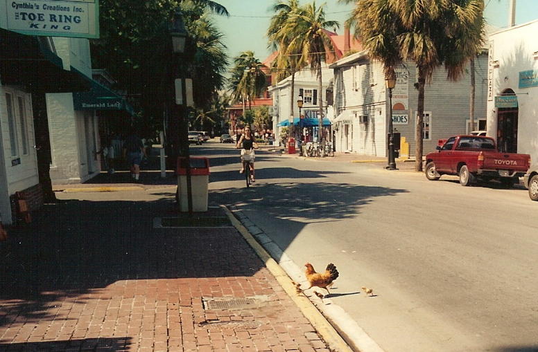 [Chickens+In+The+Street+-+Key+West,+FL+-+2000.jpg]