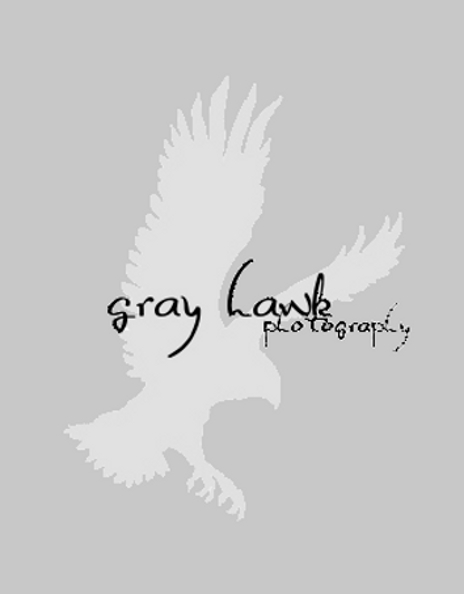 Gray Hawk Photography