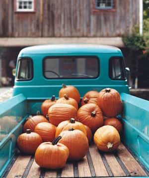 [truck-pumpkin-1_300.jpg]