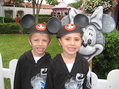 The Mouseketeers