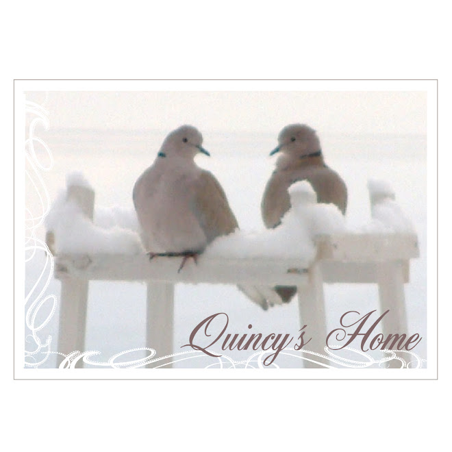 Quincy´s Blog