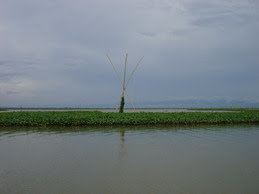 Danau Tempe