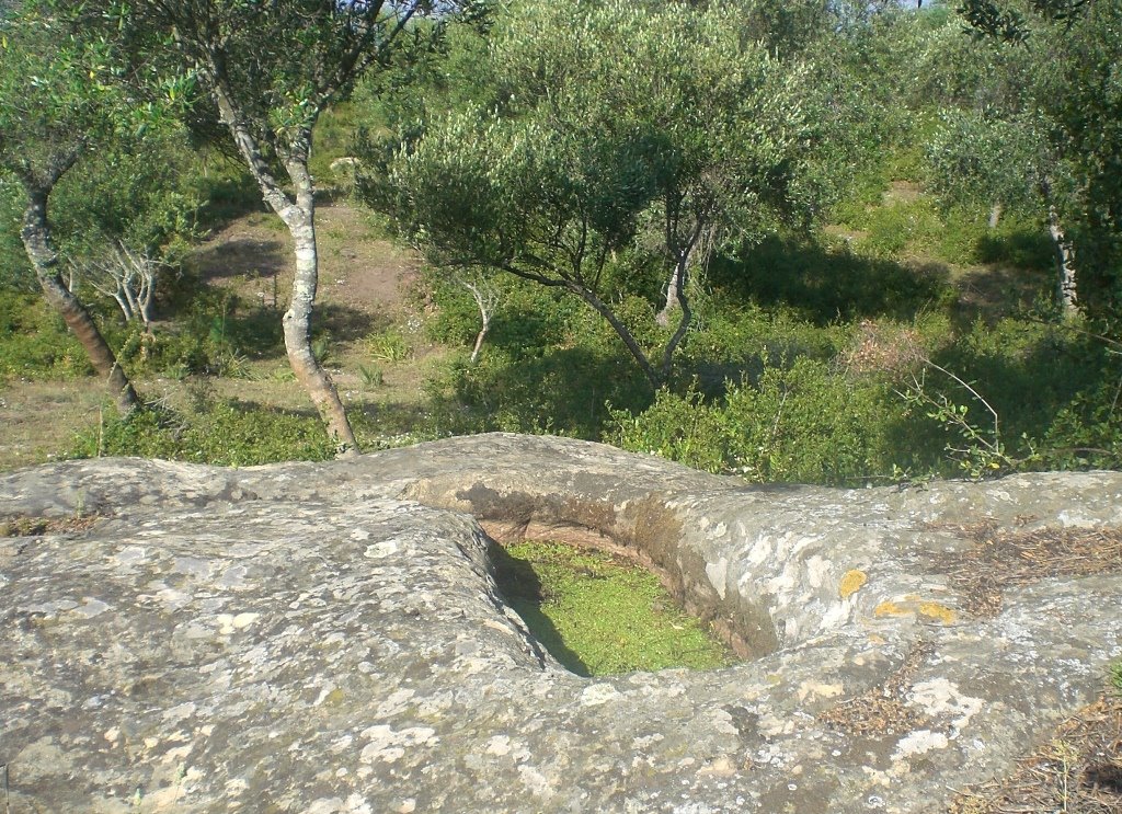 [CIMG3744.JPG]