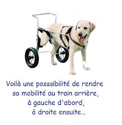 * Retrouver  la  mobilité  perdue  *