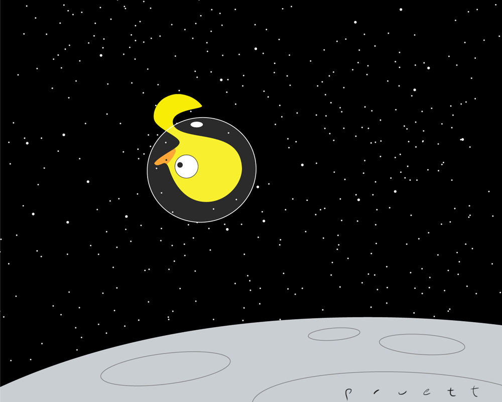 duckling%2Bspace.jpg