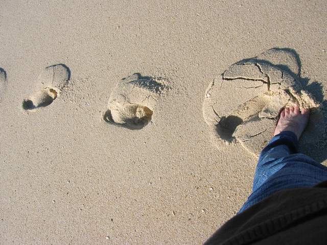 [praia_Quiaios_I.JPG]