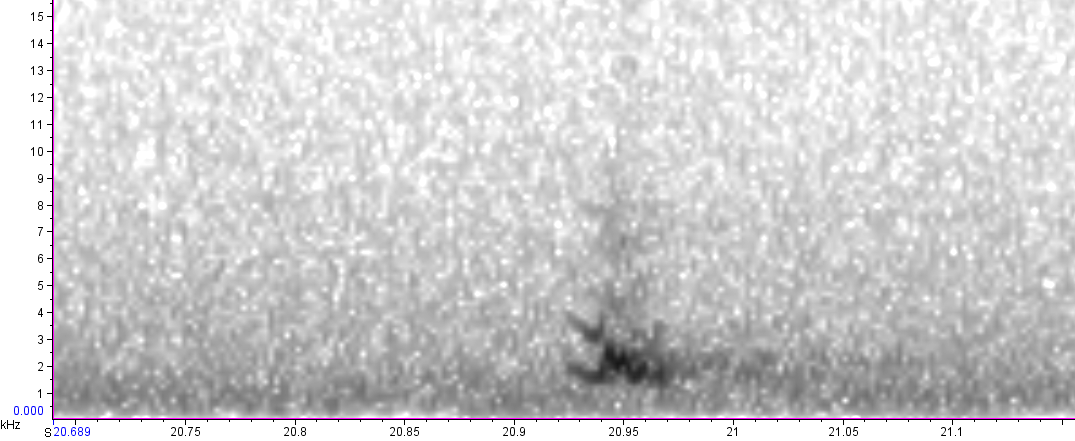 The following alarm calls of