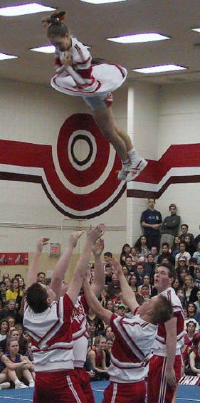 Twist Cradle