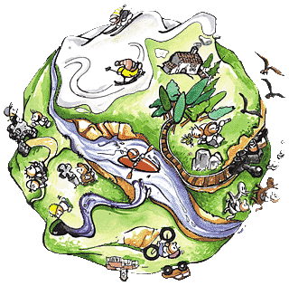 EDUCACION AMBIENTAL CONCEPTO educacion ambiental concepto: