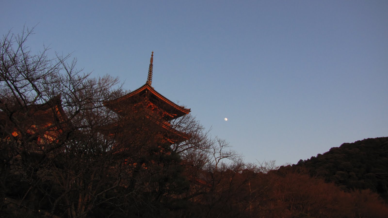 [IMG_0248.JPG]