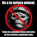 No al Maltrato de los Animales