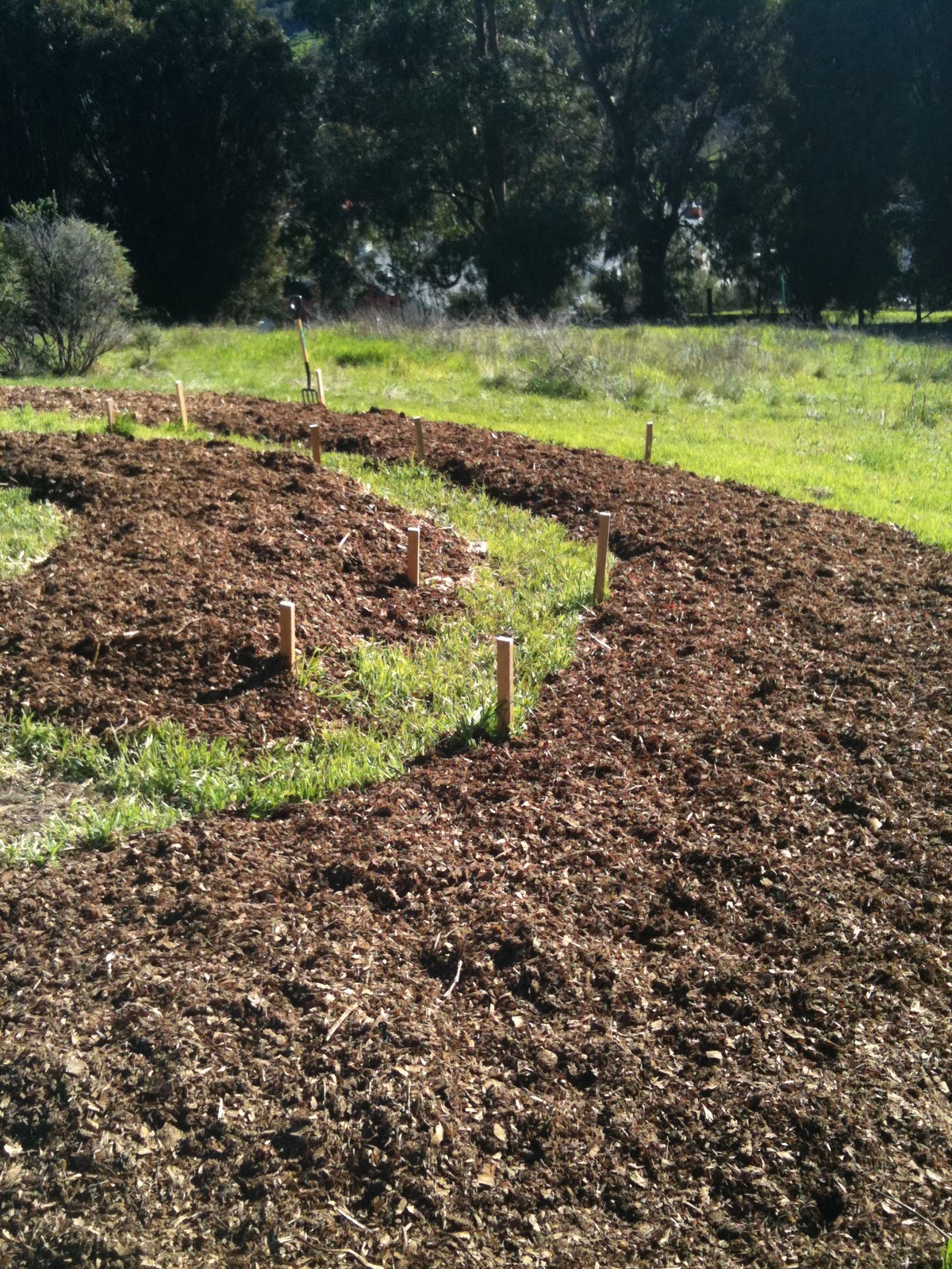 Soul Flower Farm Sheet Mulching Part 2
