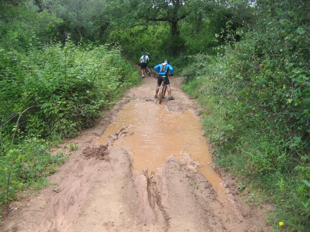 [IMG_1093.JPG]