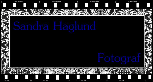 Sandra Haglund
