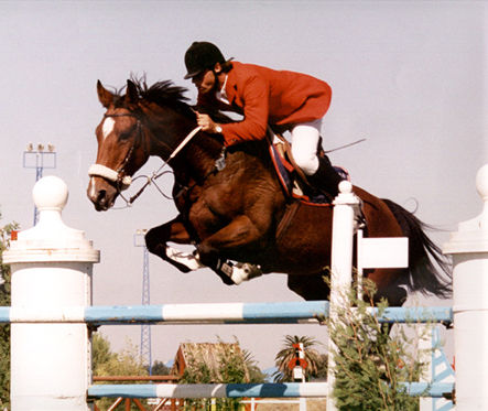 Concursos de salto (Internacionales) Salto+de+caballo