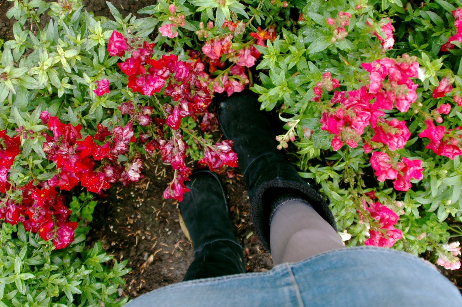 [DSC_9481.JPG]