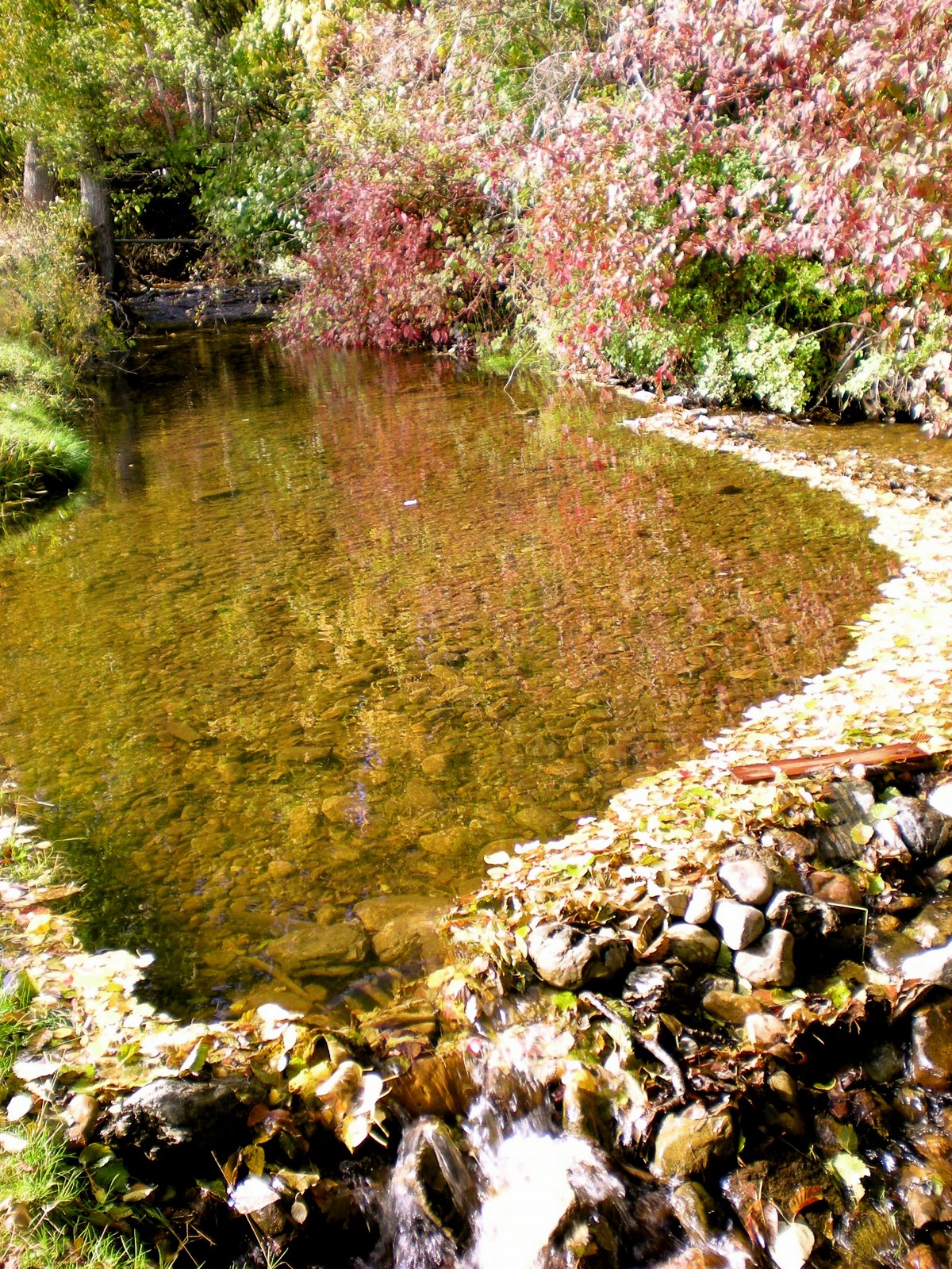 [DSCN0775.JPG]