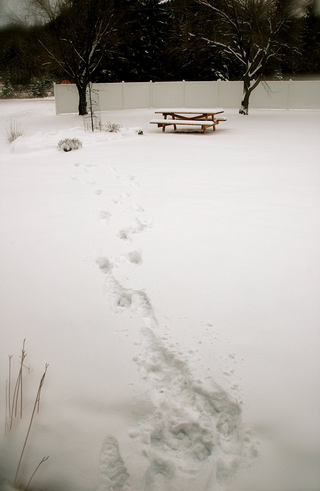 [DSC_9736.JPG]