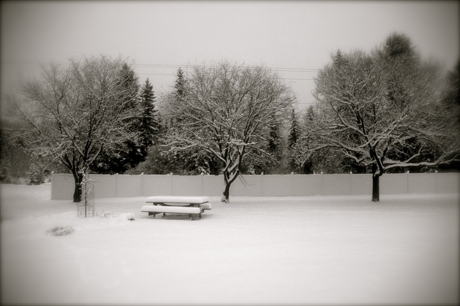 [DSC_9758.JPG]