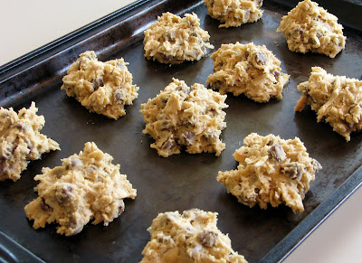 Coconut, Chocolate Chip and Almond Cookies