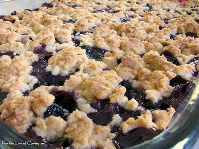 Blueberry Crumb Bars