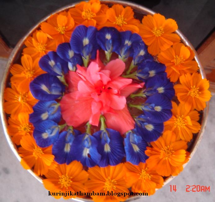 Flower Decoration Flower Kolam Poo Kolam 3 Kurinji Kathambam Aku turun ke kolam, dan duduk berselonjor di daerah dangkal untuk menyegarkan diriku. kurinji kathambam