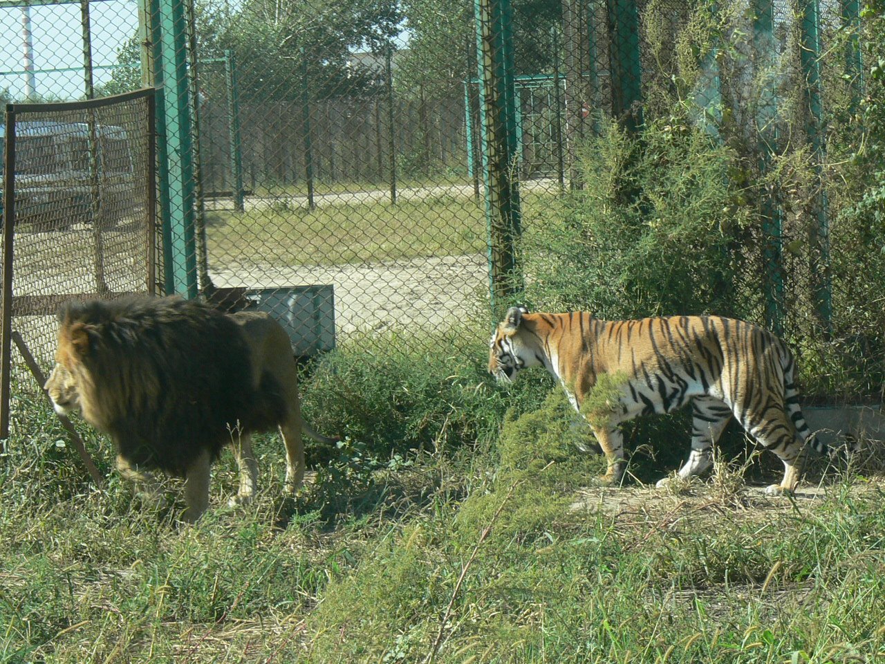 P1020758.JPG