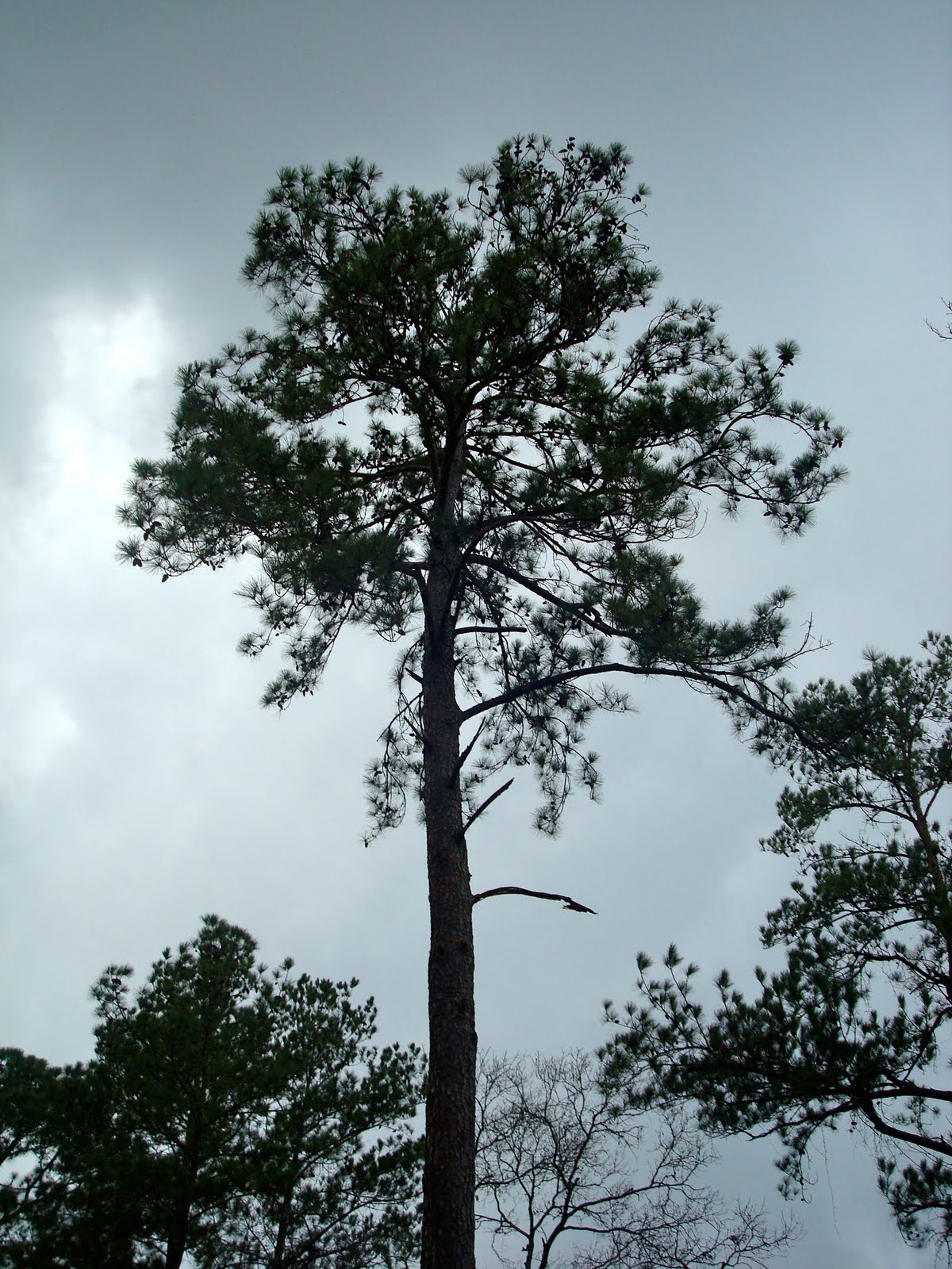 [DSC01132.jpg]