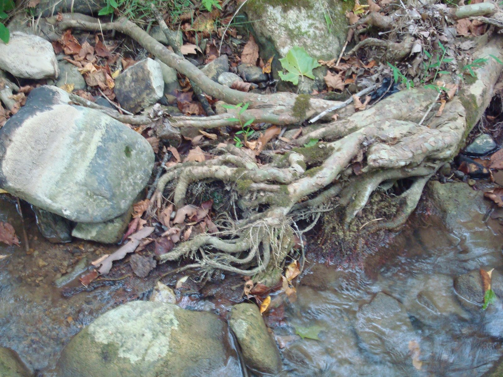[DSC08752.JPG]