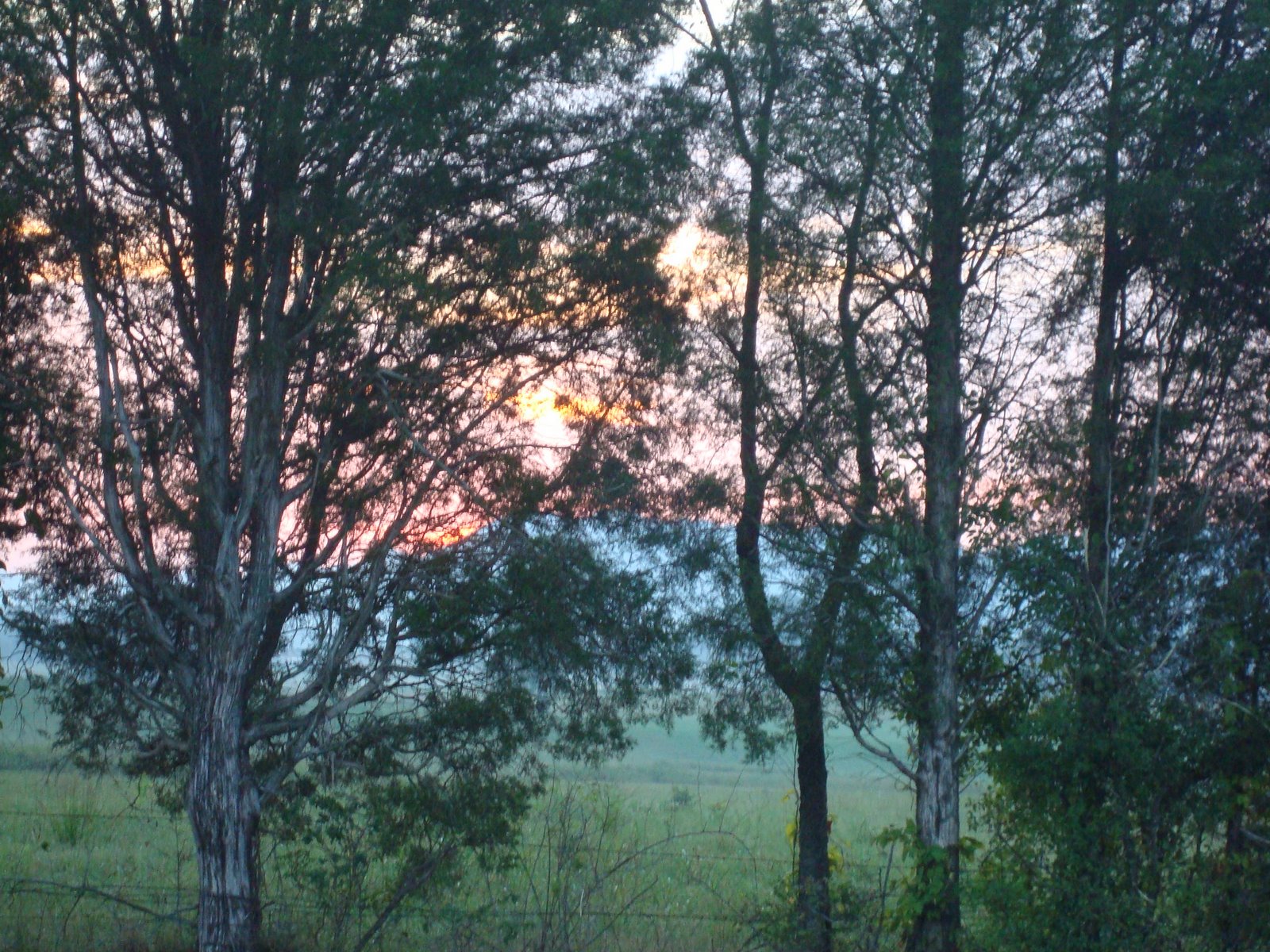 [DSC08770.JPG]