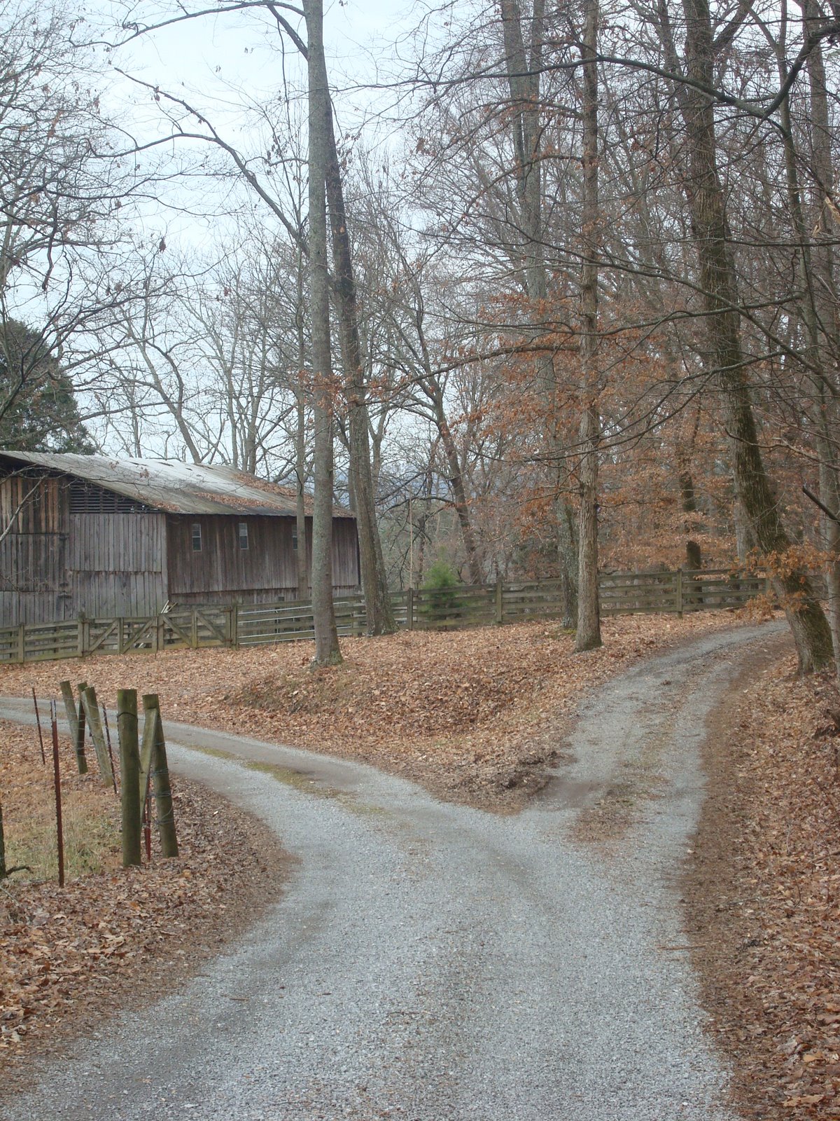 [DSC03539.JPG]