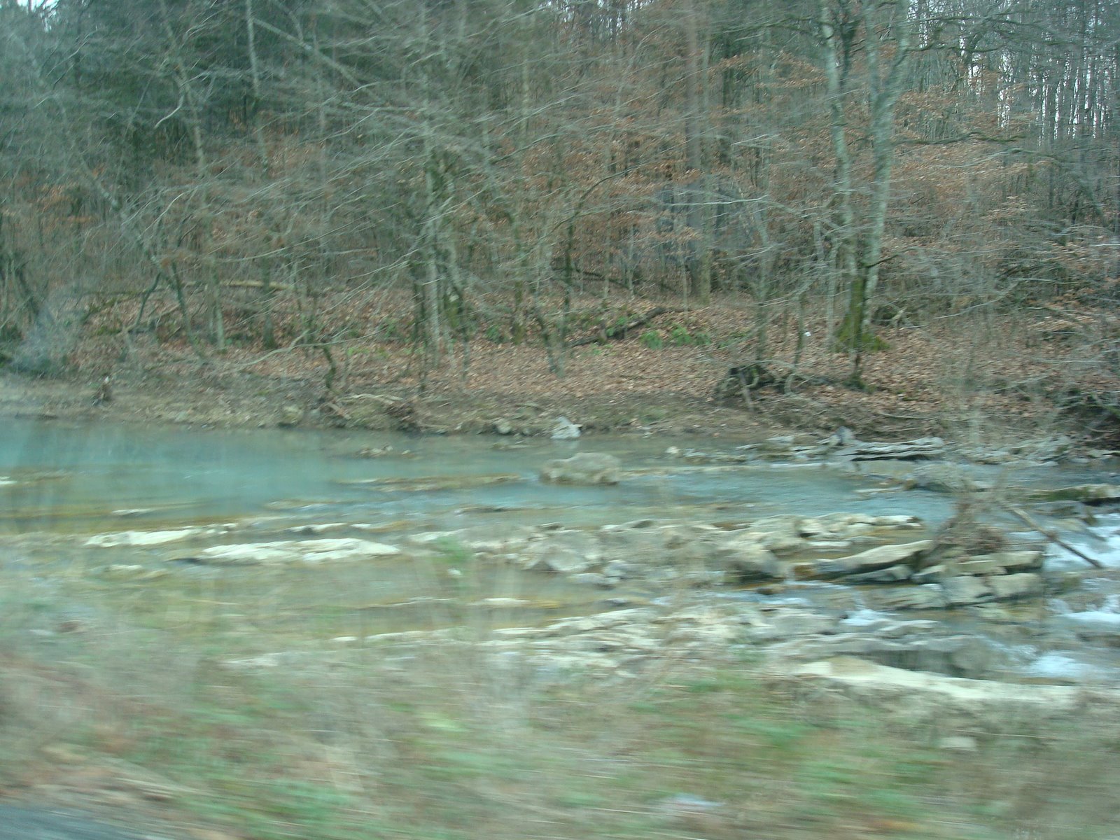 [DSC03516.JPG]