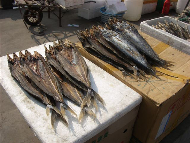[dried_fish_2.jpg]