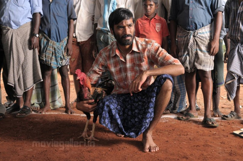 Dhanush Aadukalam Stills, Aadukalam Dhanush Photo Gallery | New Movie