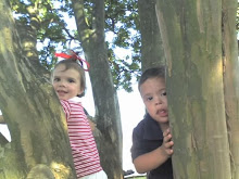 Tree Climbing