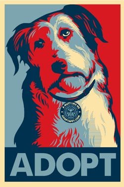 Find Your Shelter Pet