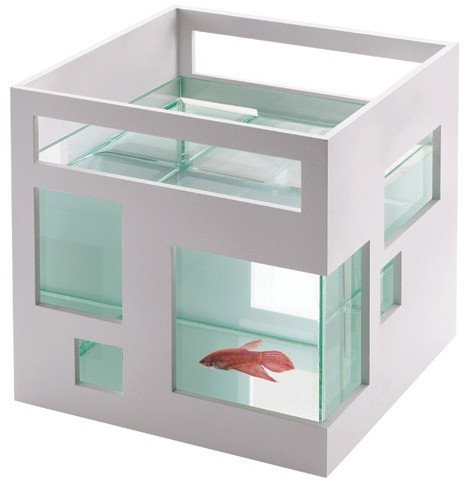 cool goldfish tank. Architectural Goldfish Tank