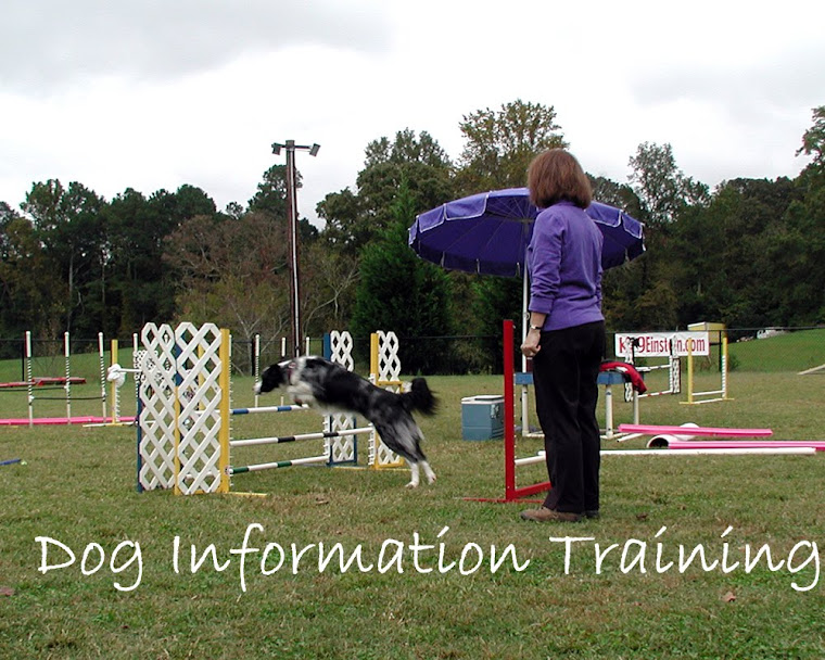 dog information training