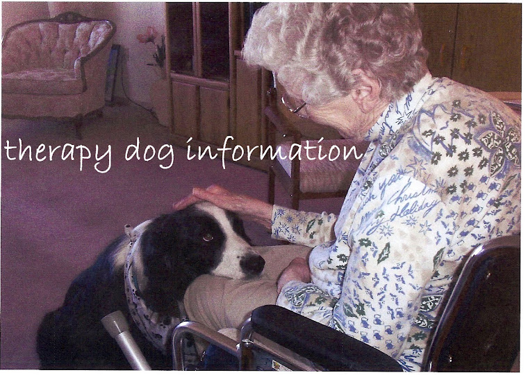 therapy dog information