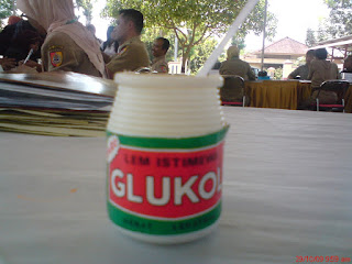 lem+Glukol.JPG