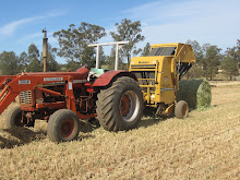 Make hay while the sun shines