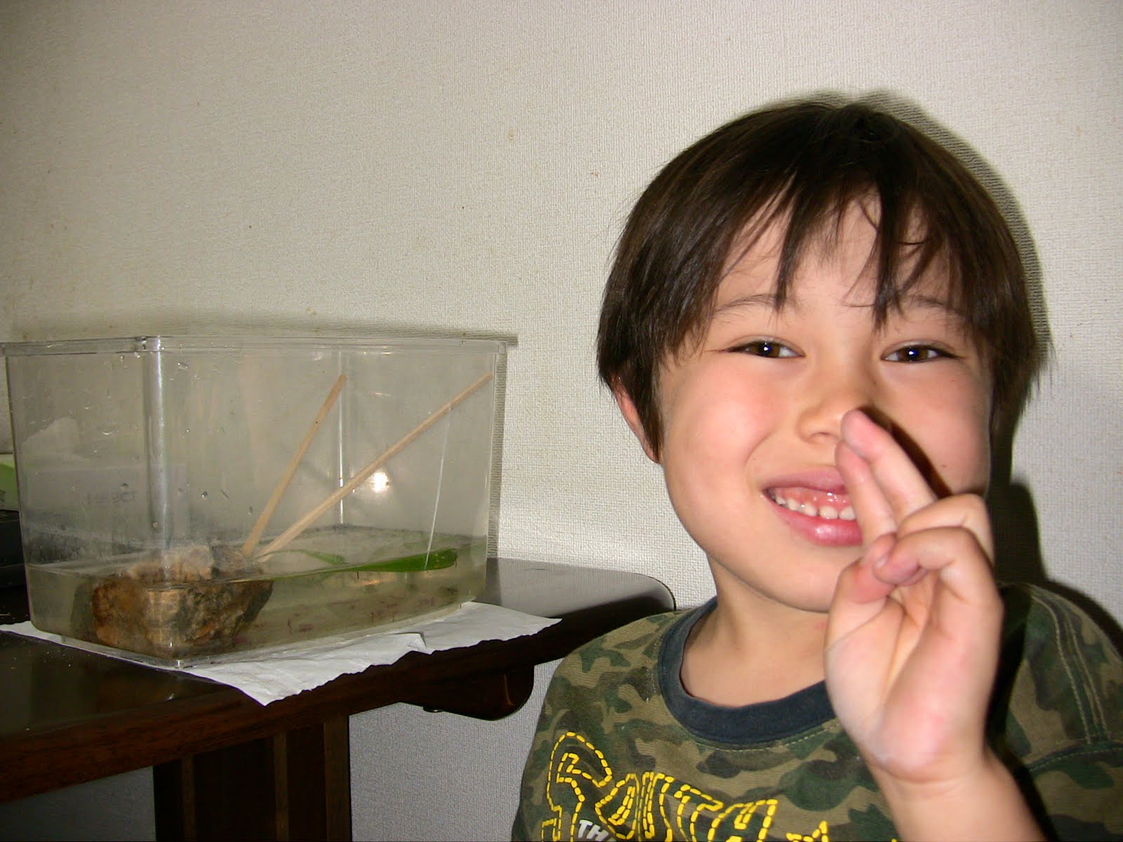 Dragonfly+larvae+buy