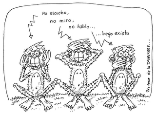 Ejemplo De Funcion De Lenguaje Representativa