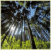 And did you know Mr. Kilmer