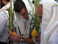 lulav