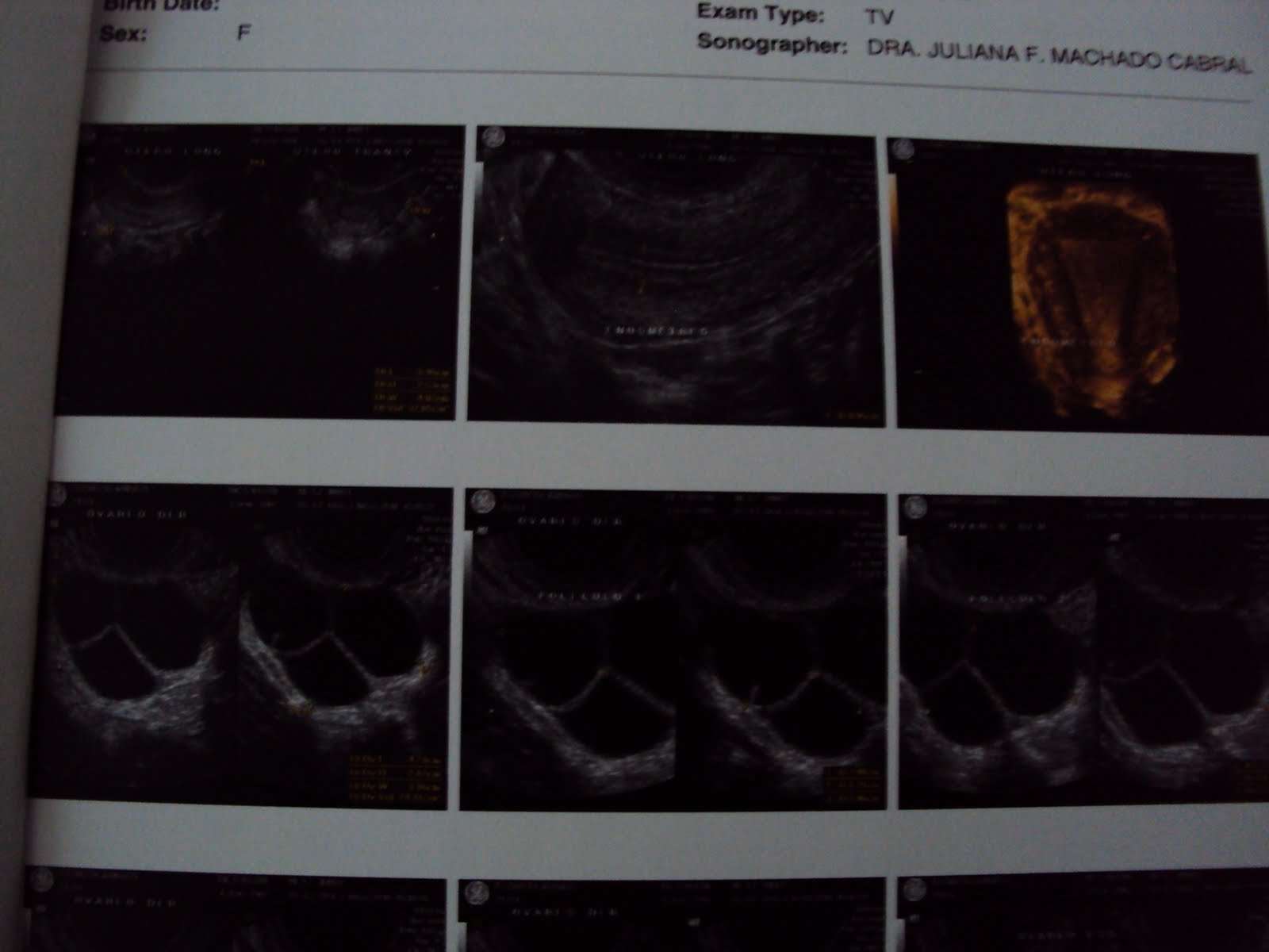 [DSC01012.JPG]
