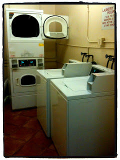 swimming in brine: wednesday windows #8.