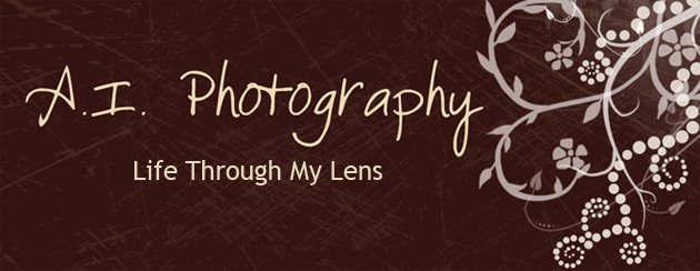 A.I. Photography