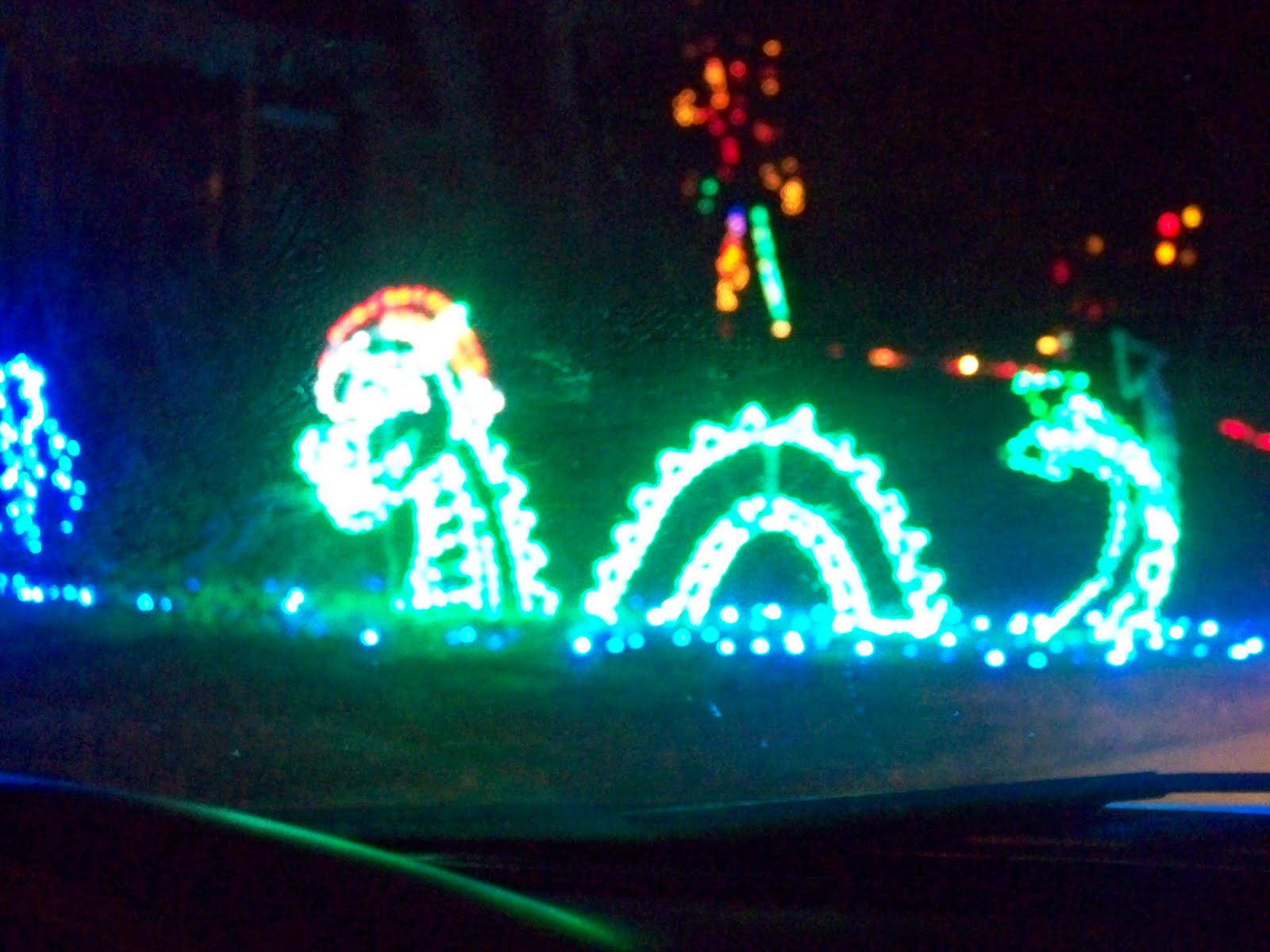 The Life and Times of Anita and Avery Lights at Bluff Valley